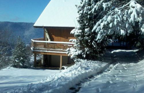 Chalet 3 étoiles avec sauna près de La Bresse - FR-1-589-18 - Foto 3