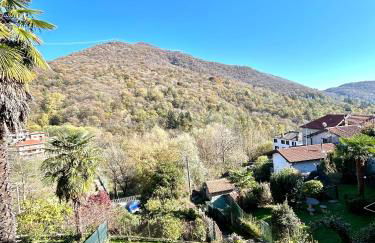 Il GLICINE - Foto 29