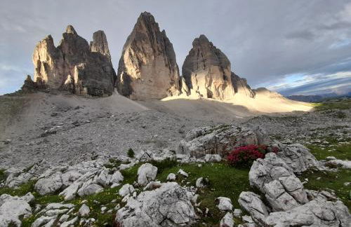 Stacherhof - Photo 48