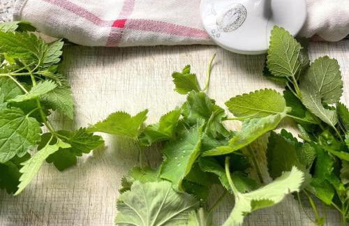 Suiten - Schlamau19 - Foto 6