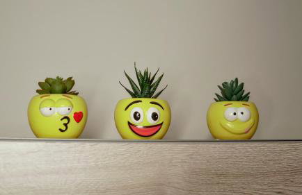 Corte Veneta - Foto 32