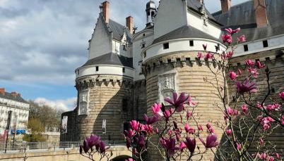 NOZA Appartement 65m2, 2 chambres - RDC, Parking gratuit, Nantes agglo Rezé - Photo 2