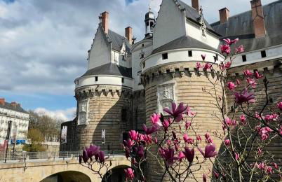 NOZA Appartement 65m2, 2 chambres - RDC, Parking gratuit, Nantes agglo Rezé - Photo 2