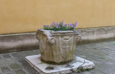 San Marco Luxury Apartment - Muneghe - Foto 42