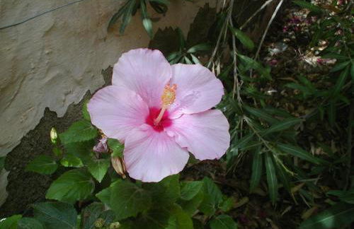 CASA FAMILIA - RELAX - Foto 24