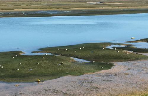 Apartamentos Barracuda - Foto 78