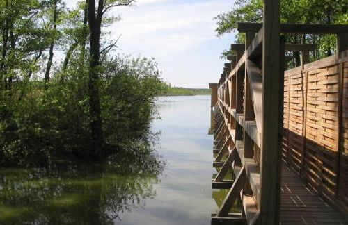 Feriendorf am Weinberg, Dobbrikow - Foto 29