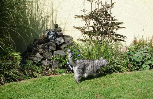 Ferienwohnung Olivenblick Bad Honnef - Foto 41