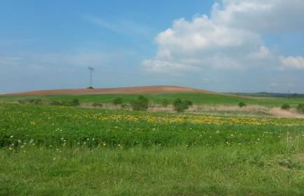 Ferienwohnung Wroblewsky - Foto 24