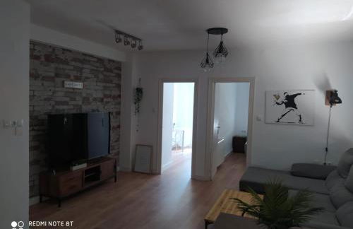 Aparramento Rosa - Foto 4