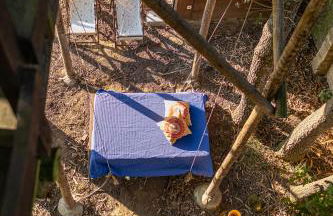 Vale da Silva Villas - Quinta - Foto 34