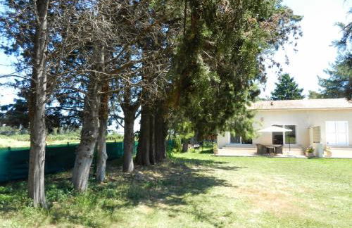 Monica di Sorbo - Foto 13