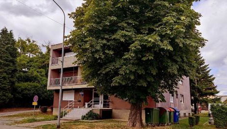 TP Apartman 1 - Foto 3