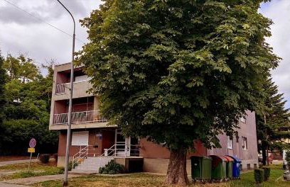 TP Apartman 1 - Photo 3