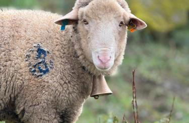 Casa Com Mãos - Foto 64