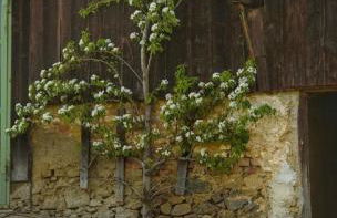 Ferienwohnung Mirtei - Foto 48