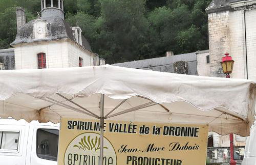 Maison de charme à Brantôme en Périgord avec piscine partagée - Foto 37