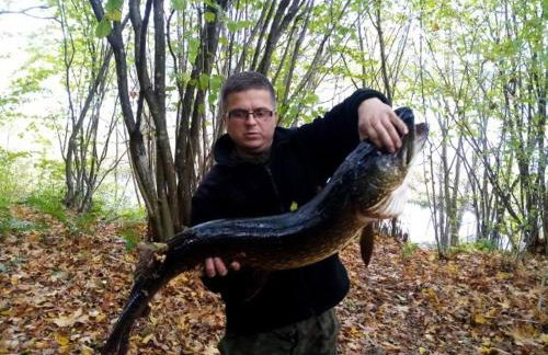 Mazurski Domek Papy Smerfa plaża pomost jezioro prywatny staw gospodarstwo pasieka - Foto 24