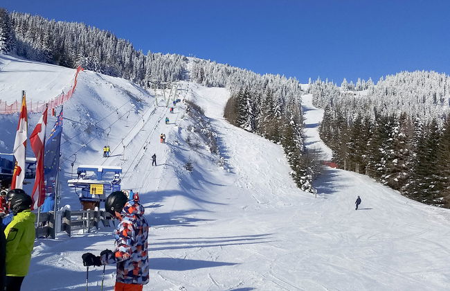 Klippitzrose - Foto 40