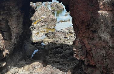 Terraza con vistas mar/montaña - Foto 23