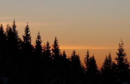 Petrini Gonia - Foto 27