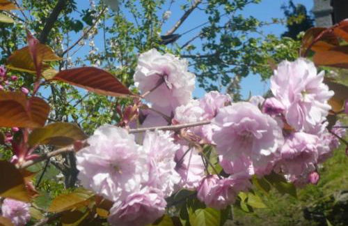 Casa completa - Photo 28