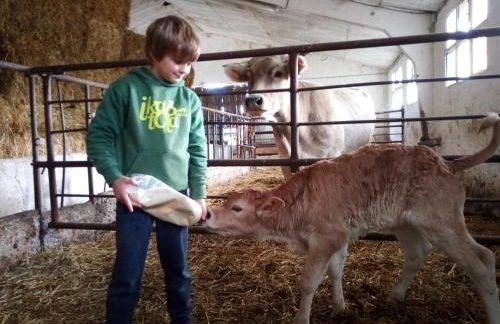 Casa Rural el Ribero I - Photo 23