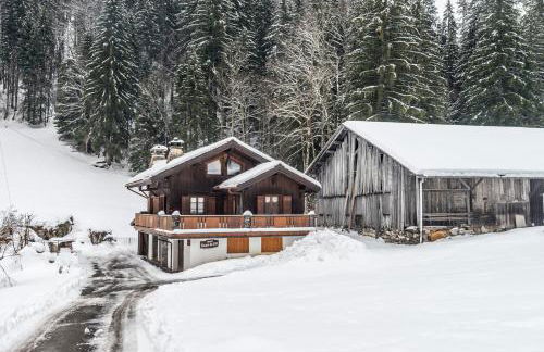 Beau chalet proche centre/pistes - Garage - Wifi - Foto 17