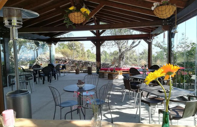 Huerto San Antonio - Foto 59