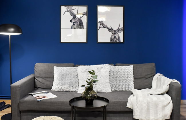 Homey - Strada Tudor Arghezi 16 - Foto 6