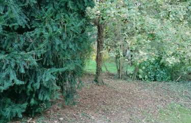 Villa charmante à Saint-Vincent-de-Paul avec piscine privée - Foto 33