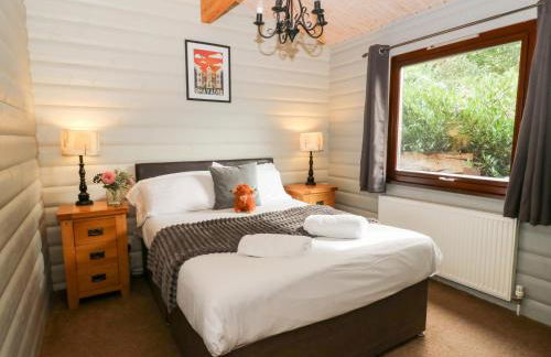 Sunny View - Foto 12