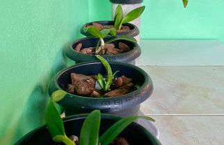 Casa Privativa com Varanda Gourmet e Churrasqueira- Pet Friendly- Wi-Fi e Garagem - Photo 49