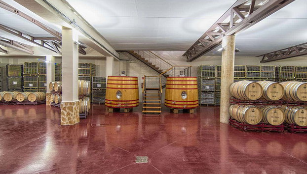 Visite du domaine viticole de Mont Reaga - Photo 3, Salle des fûts