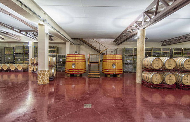 Visita a la bodega Mont Reaga - Foto 3