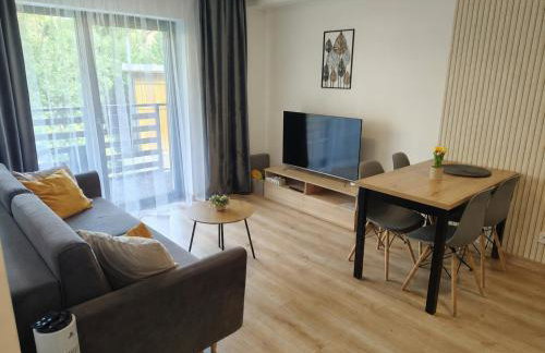 Karkonoska Miejscówka Apartament Szklarska Poręba Centrum Park - Foto 26