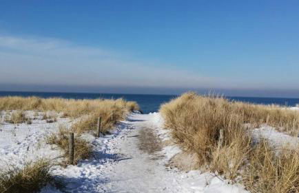 Ferienhaus am Kleinbauernhof Gersdorf bei Kühlungsborn - Foto 31