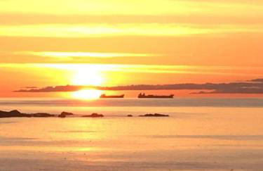 Bellevue Holiday Cottage - Foto 39