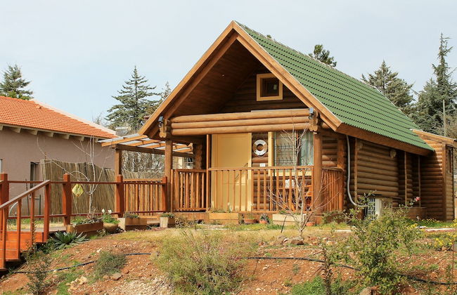 Dalia Barama - Photo 17