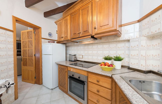 Hibiscus in Sa Pobla - Foto 16