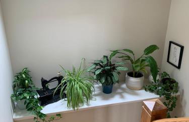 Charming Isle of Skye Holiday Cottage, Glendale - Foto 4