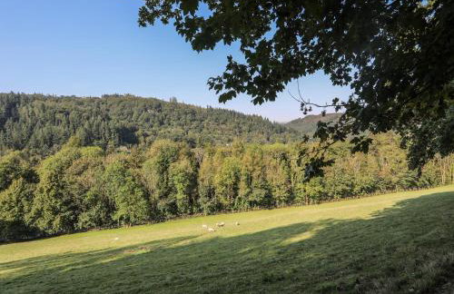 Maes Madog - Foto 54