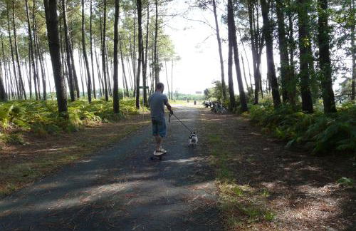 Blue Ocean - Foto 27