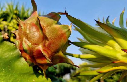 Ideal Villa in Vila Nova de Famalicão with Private Pool - Foto 76