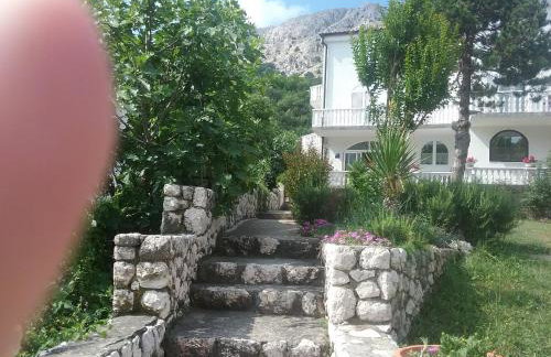 Apartman Put - Photo 16