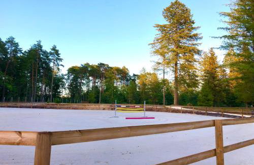 DOMAINE DE MALVAUX - Gîte classé 5 étoiles - 15 personnes - Sologne - Nouan le Fuzelier - Ambassadeur Sologne - Photo 23