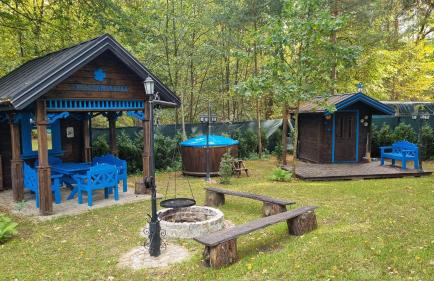 Niezapominajka - Foto 5