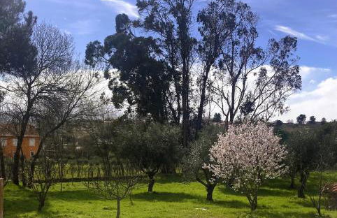 Casa Ar da Beira - Serra da Estrela - Belmonte - Foto 39