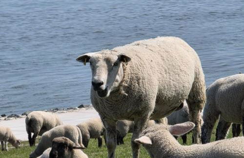 Apartment Landskron by Interhome - Foto 29