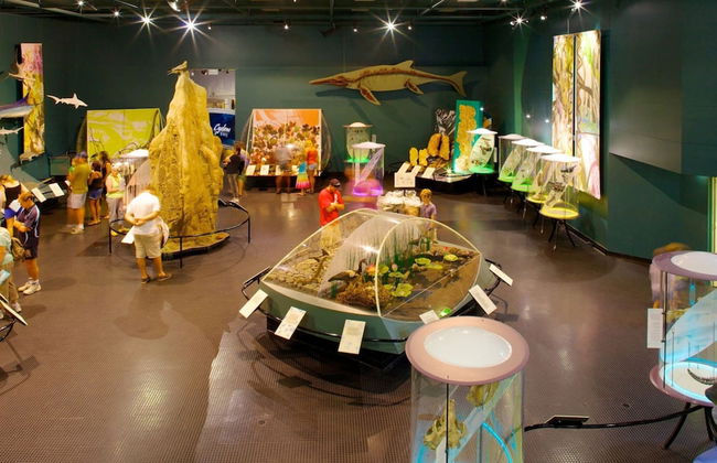 Zenlux Waterfront Mansion Infinity Pool Cinema - Foto 51